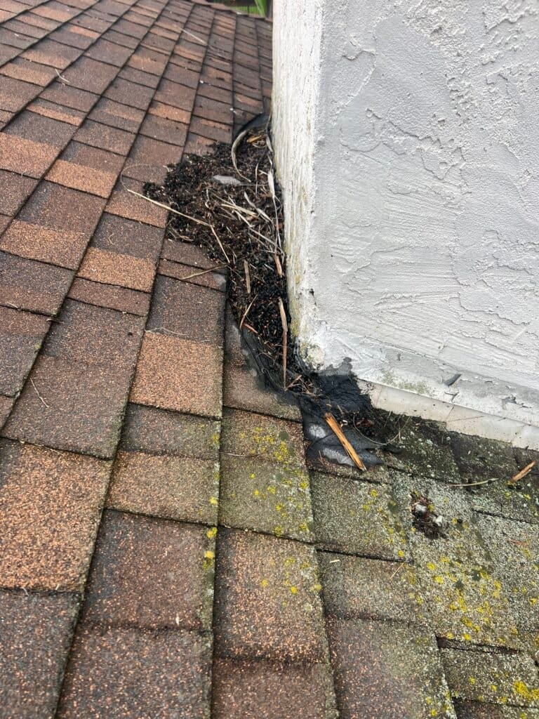 Don't let this happen to you. We are experts in San Diego commercial roof maintenance.